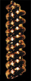 Spiral Shaped Objects Found In The Eastern Urals